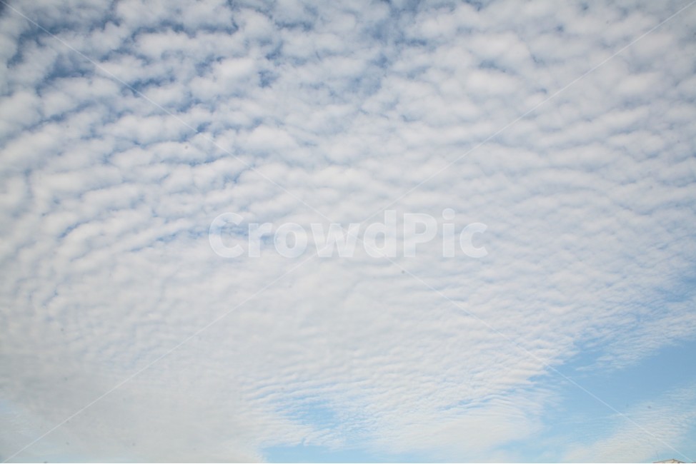 하늘,구름,양떼,솜,푸른,자연,풍경,nature,landscape,outdoors,옥외,sky,cloud