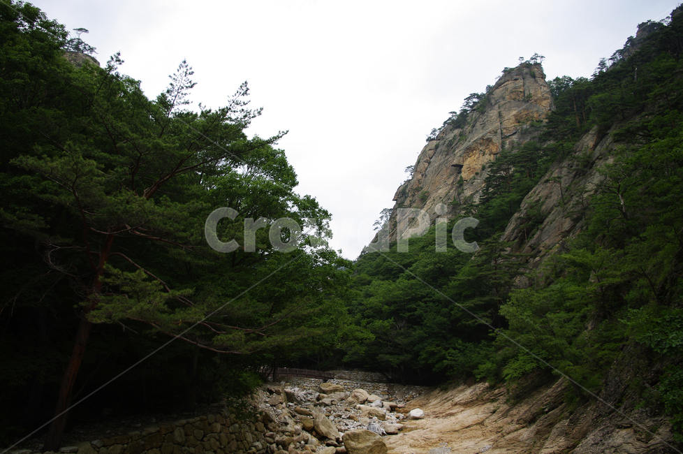 길,산,하늘,나무,식물,풍경,자연,풍경,nature,landscape,outdoors,옥외,dirt road,흙길,road,도로,gravel,자갈,water,물