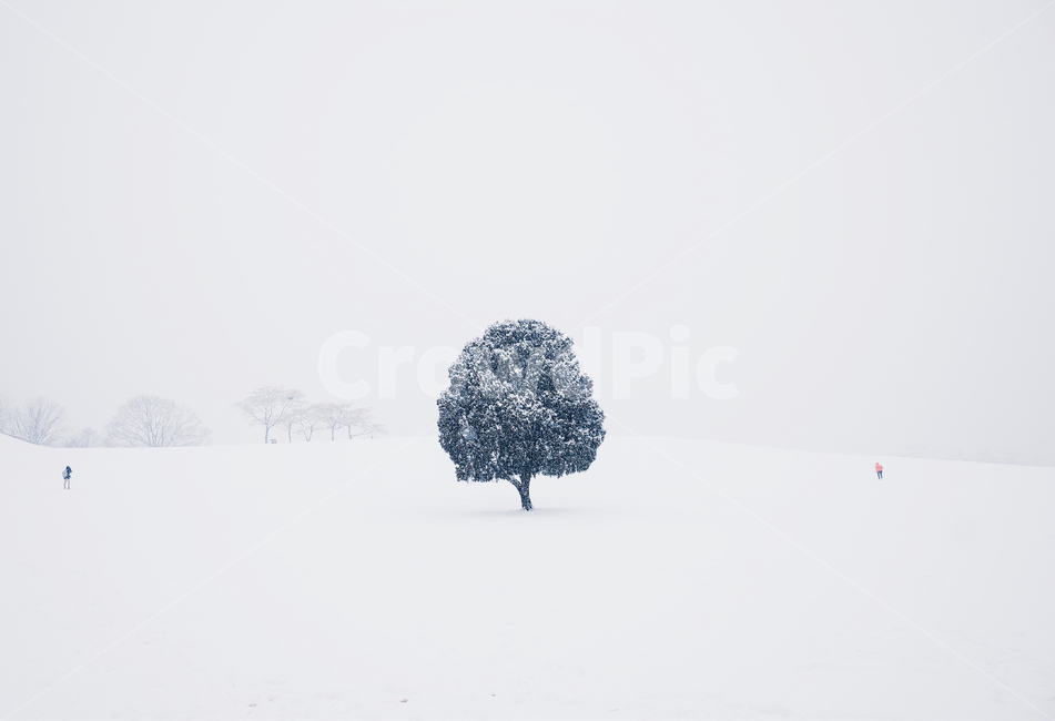 nature,자연,나무,눈,설경,겨울,올림픽공원,나홀로나무,겨울,계절,winter,season,사람,인물,인간,human,person,여성,여자,woman,female,lady