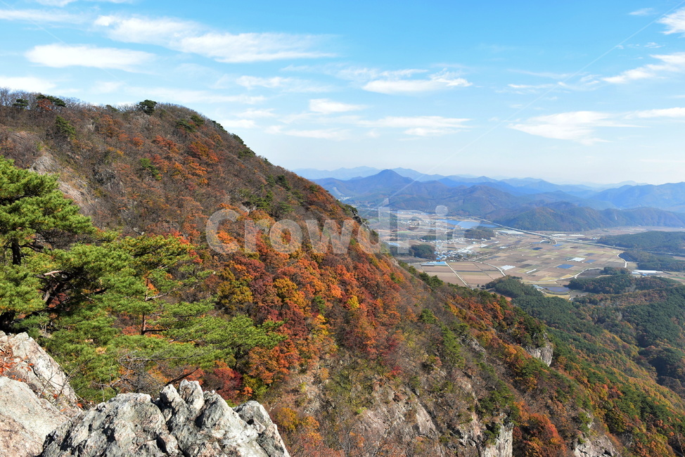 자연,풍경,단풍,계절,가을,잎,붉은,노란,낙엽,나무,백암산,fall,autumn,season,nature,landscape,한국자연풍경,한국자연경관,korea,tree,maple,leaf,가을,계절,fall,autumn,season,자연,풍경,nature,landscape,outdoors,옥외
