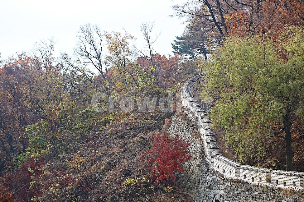 남한산성,성,성곽,단풍,낙엽,길,둘레길,숲,숲길,담,돌담,가을,자연,풍경,벽,울긋불긋,산성,식물,가을,계절,fall,autumn,season,한국전통,한국문화,korean traditional,korean culture,tree,나무,plant