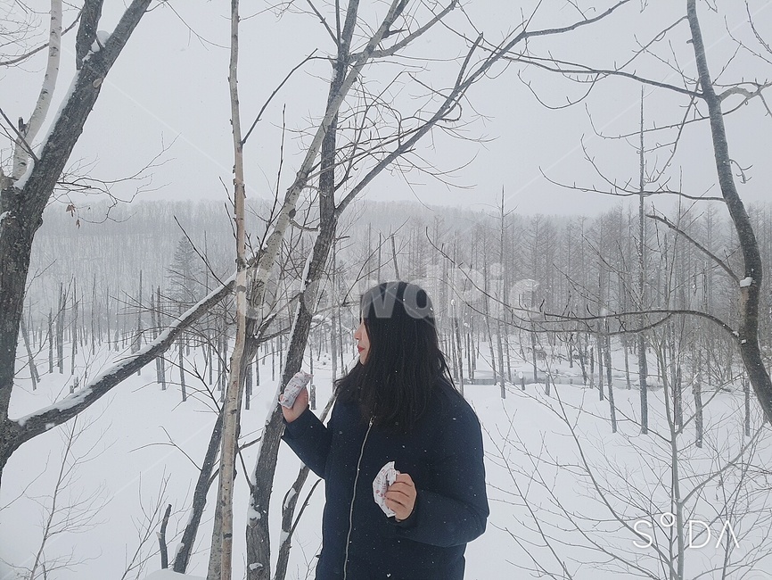 눈,삿포로,비에이투어,크리스마스트리,훗카이도,겨울,겨울,계절,winter,season,사람,인물,인간,human,person,여성,여자,woman,female,lady,여행,휴가,traveling,vacation,trip