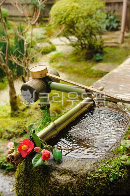 호센인,츠쿠바이,동백꽃,동백,일본,오하라,교토,초록,이끼정원,정원,봄,대나무,일본정원,봄꽃,물,물소리,청결,정결,고요한