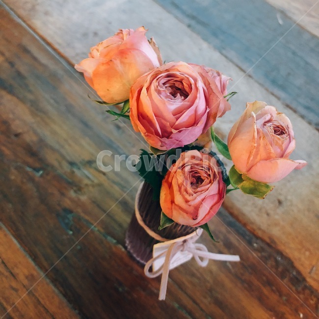 꽃,드라이플라워,장미꽃,장미,나무,로즈데이,핑크꽃,flower,dryflower,rose,tree,roseday,pinkflower