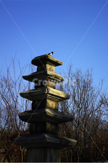석탑,돌,소원,탑,오층석탑,전통,하늘,한국전통,한국문화,korean traditional,korean culture,조각상,동상,석상,조형물,statue,bronze statue,stone statue