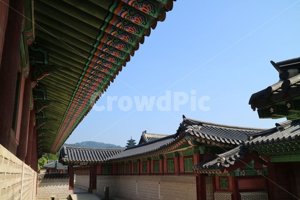 고궁,궁전,한국전통,한국,건축,건물,동양건축,전통가옥,한옥,한국의고궁,문화재,대한민국,전통,민속,한국전통,한국문화,korean traditional,korean culture,랜드마크,landmark,tourist attraction,한국랜드마크,한국관광지,한국명소,korea landmark,korea tourist attraction,건축물,건물외관,exterior,building,structure,architecture,construction