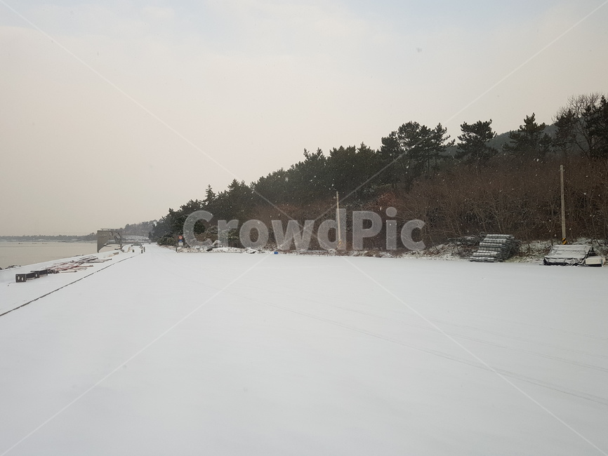 해변,백사장,나무,전봇대,하늘