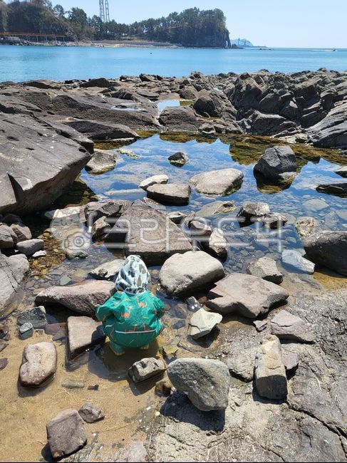 바다,남일대,삼천포,바다놀이,바다생물,꽃게잡이,해수욕장