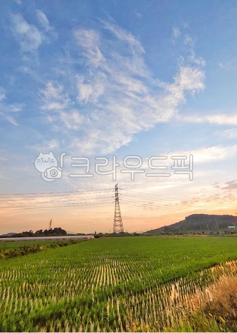 논,송전탑,에펠탑,농경지,노을과송전탑,시골풍경