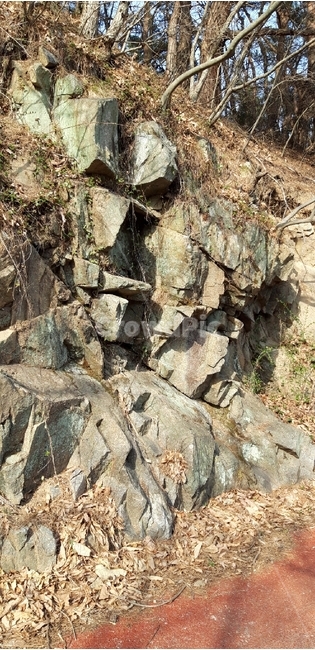 절벽,바위,산속,산,숲속