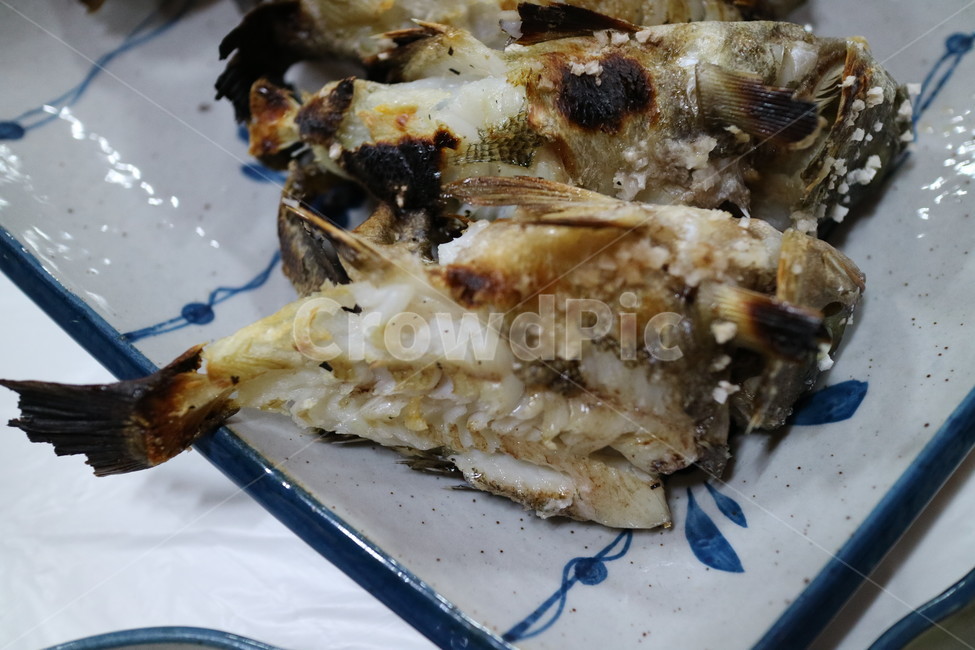 볼락,생선,생선구이,물고기,맛있는생선,자연산,통영볼락,통영,음식,식재료,요리,food,cook,meal,dishes,food reserves,수산물,해산물,fishery products,seafood,한식,한국음식,한국요리,korean food,korean dishes,korean meal,korean cook