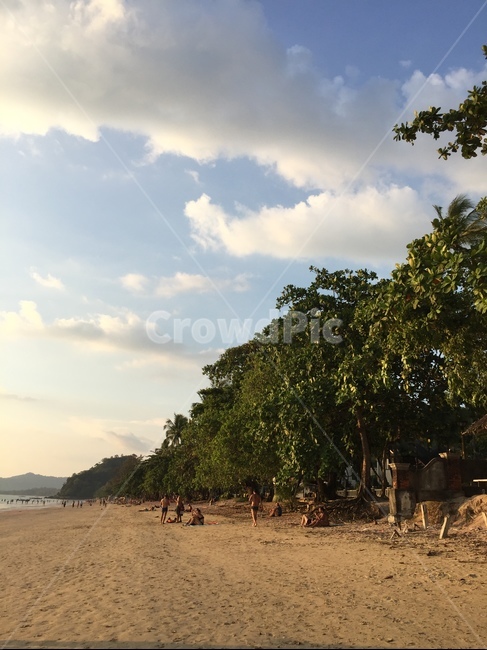 nature,자연,바다,beach,야자수,palmtree,태국,thailand,크라비,끄라비,krabi,sand,모래