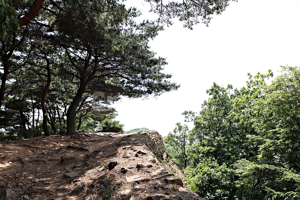 전등사,성곽,전등사둘레길,길,돌담,풍경
