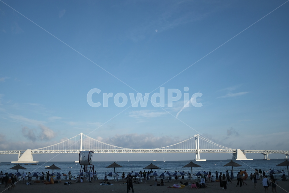 부산,광안리,광안대교,하늘,건축,여름