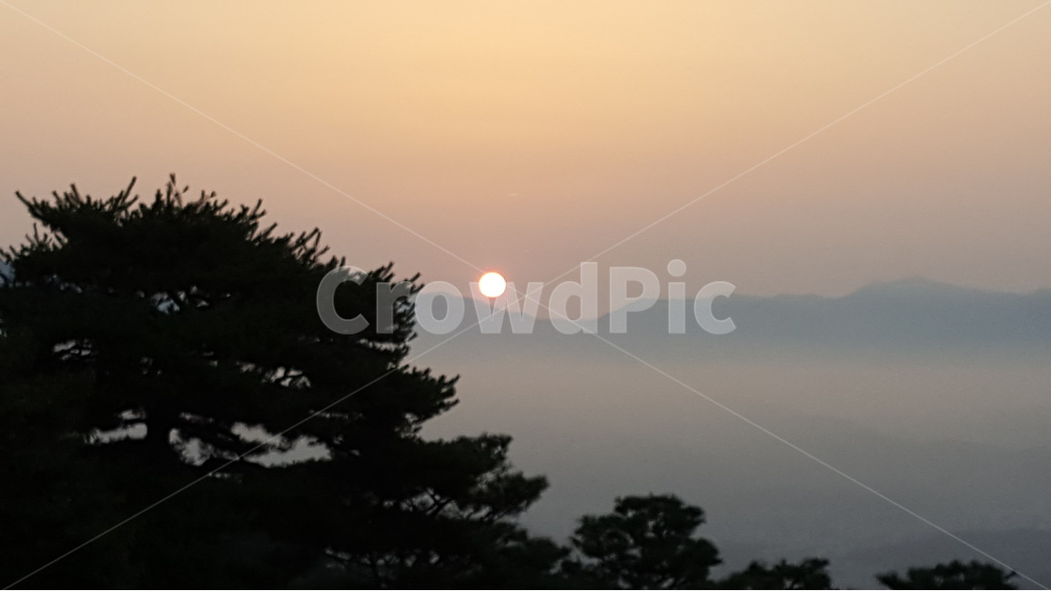 풍경,나무,산,안개,구름,자연,풍경,nature,landscape,한국자연풍경,한국자연경관,korea nature landscape,outdoors,옥외