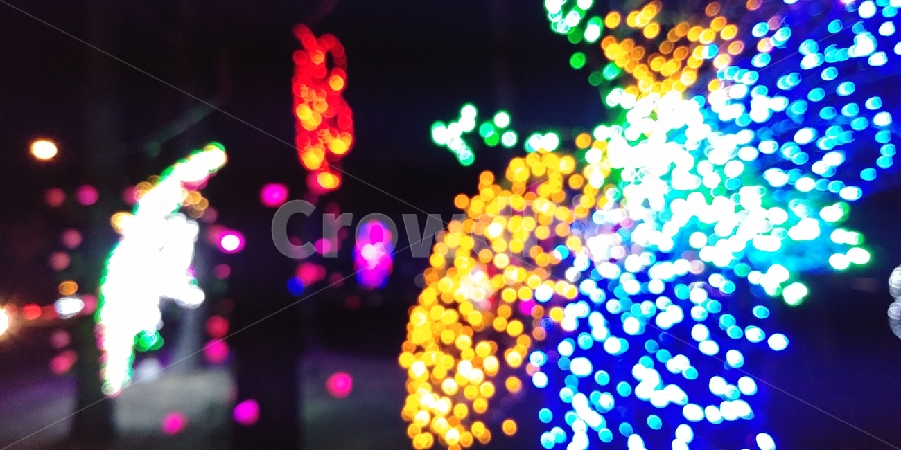 lighting,조명,colorful,아웃포커스,야경