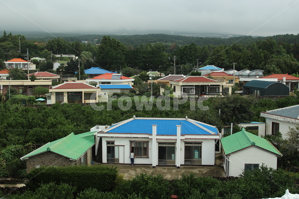제주도,제주농가주택,귤밭,알록달록,농부,제주도,jeju,jeju island,시골,마을,풍경,landscape,country,rural,town