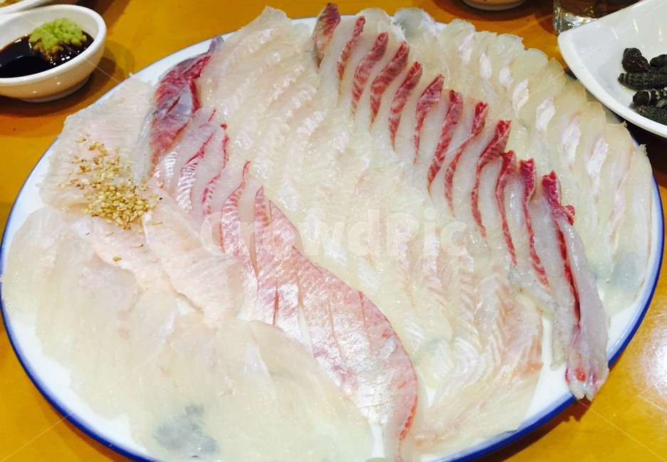 광어,회,안주,술자리,횟집,해산물,확대,음식