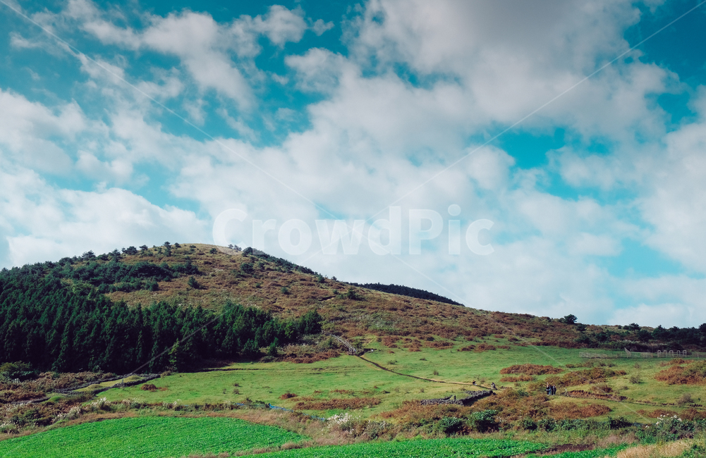nature,자연,outdoors,옥외,들,field,목초지,grassland,제주도,감성사진,오름,하늘,봄,여름,자연,풍경,nature,landscape,한국자연풍경,한국자연경관,korea nature landscape,제주도,jeju,jeju island
