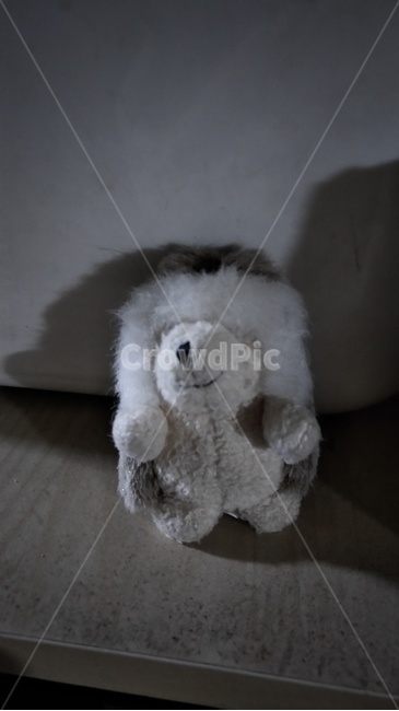 미소,고슴도치,인형,혼자,외로움,고독