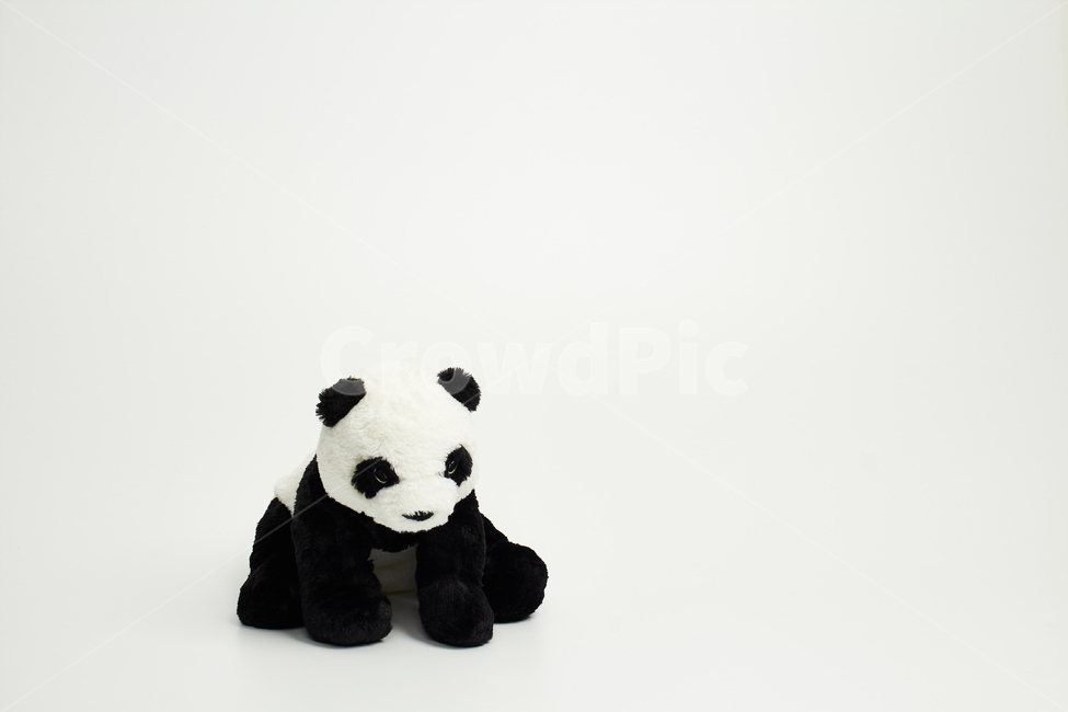 판다,곰,인형,완구,장난감,어린이,사물,물건,오브젝트,thing,objectmatter,누끼,흰색,배경,합성,귀엽다,예쁘다,브라운,리본,눈,코,입,앉다,중국,어린이,어린아이,child,children,kid,사물,물건,오브젝트,thing,object,matter,누끼,remove background