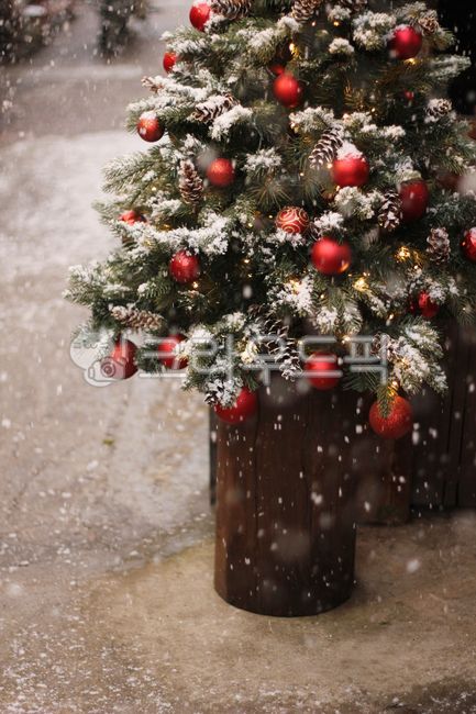 겨울,크리스마스,크리스마스이미지,christmasimage,winterimage,눈,크리스마스트리,장식