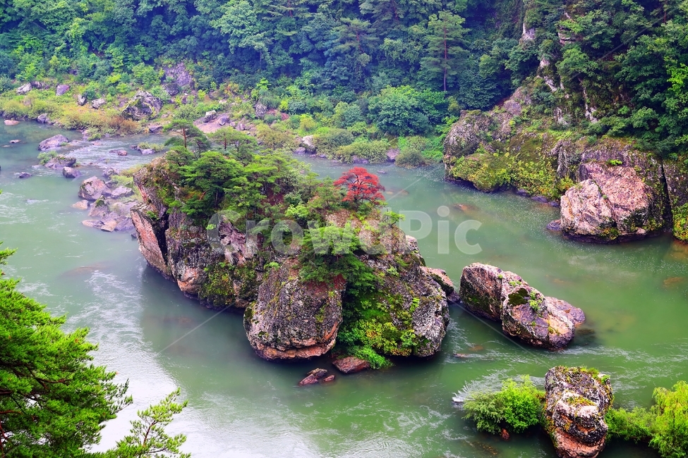 동강,레프팅,어라연,물,강,자연,자연,풍경,nature,landscape,한국자연풍경,한국자연경관,korea nature landscape,plant,식물,algae,조류