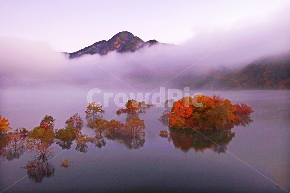 진안,용담호,용담댐,추색,가을,물안개,용담호추색,용담호물안개,nature,자연,weather,날씨,outdoors,옥외,plant,식물,tree,나무,mountain,산,자연,풍경,nature,landscape
