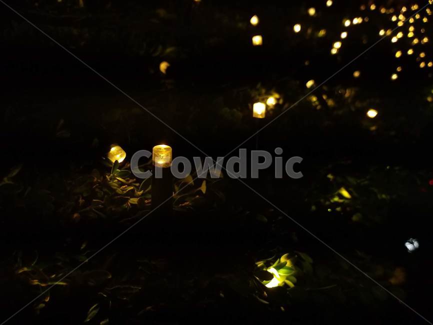 candle,light,빛,led,풀,정원