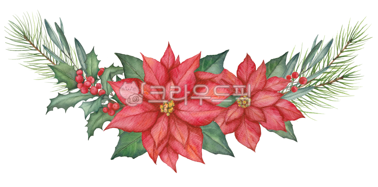 pine tree,Christmas,pine,christmas decoration,Botanical,christmasdecoration,christmas tree,Christmas illustration,red,botanical,drawing,christmas plants,christmas card,decoration,winter flowers,pinetree,garland,floraldesign,green,hand drawing,tree,floral 