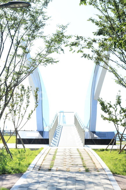 나무,산책,신안,천사의섬,하늘,천사날개