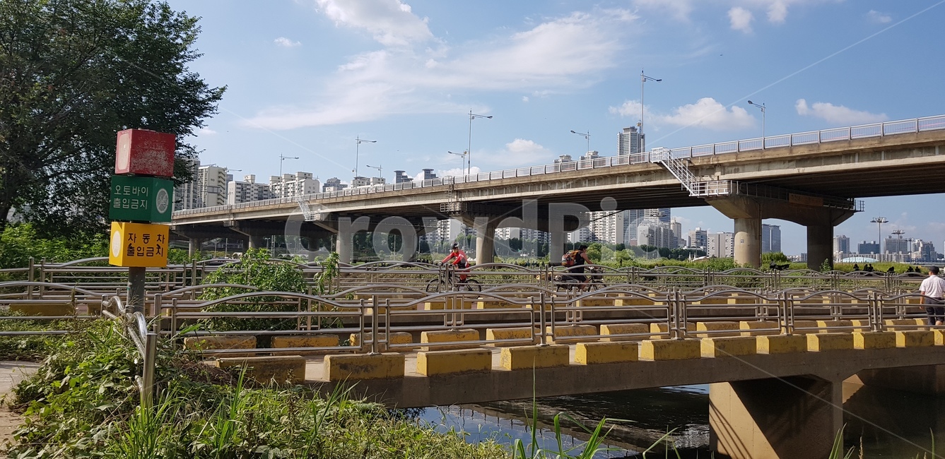 다리,서울,공원,낮,맑음