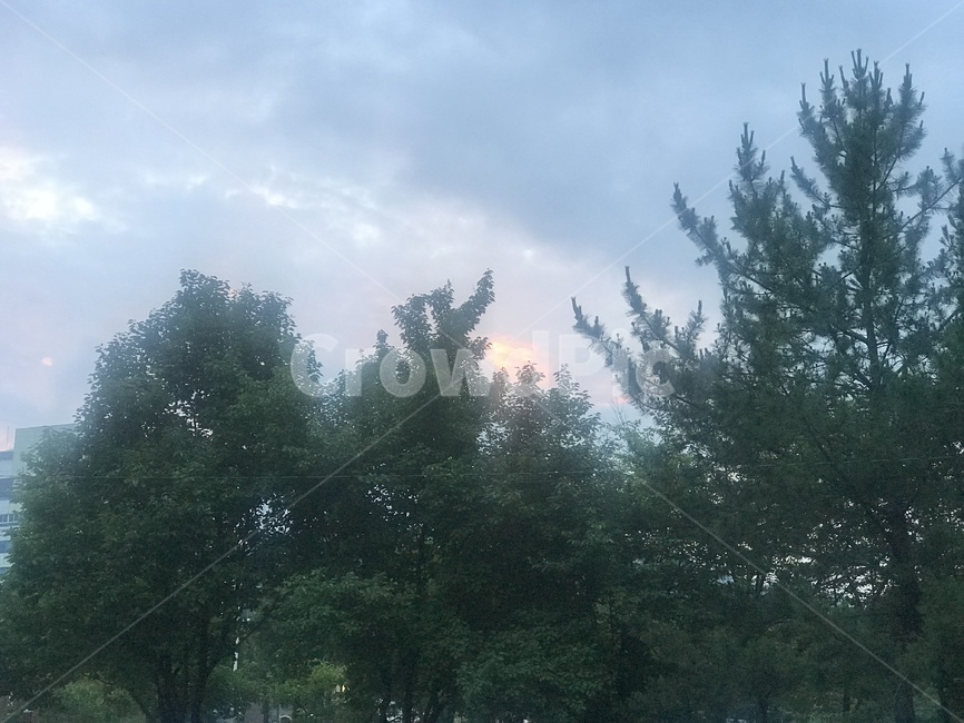 노을,석양,구름,여유,저녁노을,행복,장유,김해
