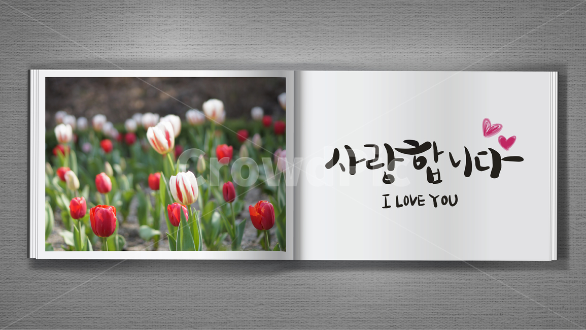 어버이,5월,엄마,아빠,어머니,아버지,부모님,은혜,스승,튤립,꽃,고마움,사랑,전하다,사랑합니다,감사합니다,고백,책자,캘리그라피,손글씨,서체,감정표현,기분,feeling,emotion,캘리그라피,손글씨,calligraphy