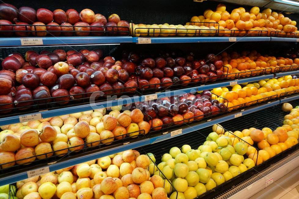 해외마트,외국마트,외국과일코너,해외과일코너,해외과일,시장,마트,마켓,market,mart,market place,음식,식재료,요리,food,cook,meal,dishes,food reserves,과일,열매,fruit
