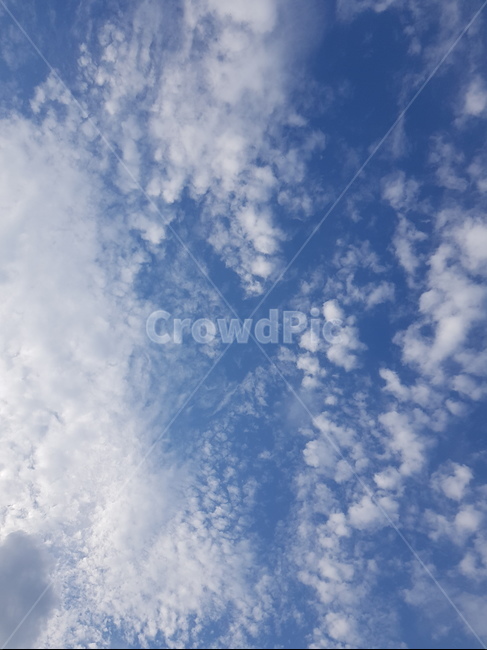 구름,하늘,파란하늘,뭉게구름,하얀구름,cloud,sky,파란색,하얀색,흰색,blue,bluesky,white