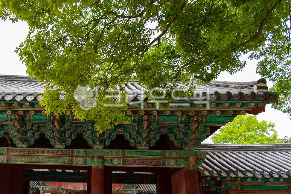전주한옥마을,경기전,단청,기와,architecture,건축학,building,건물,housing,주택