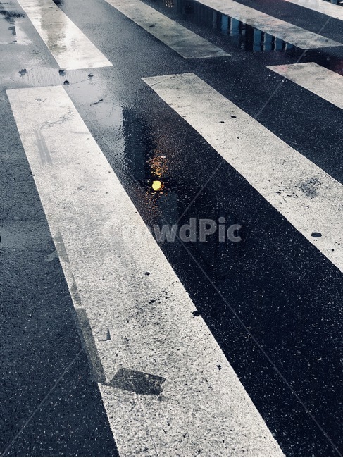 비,횡단보도,도로,아스팔트,빗물,비,비오는날,rain,rainy,교통,교통수단,traffic,transportation