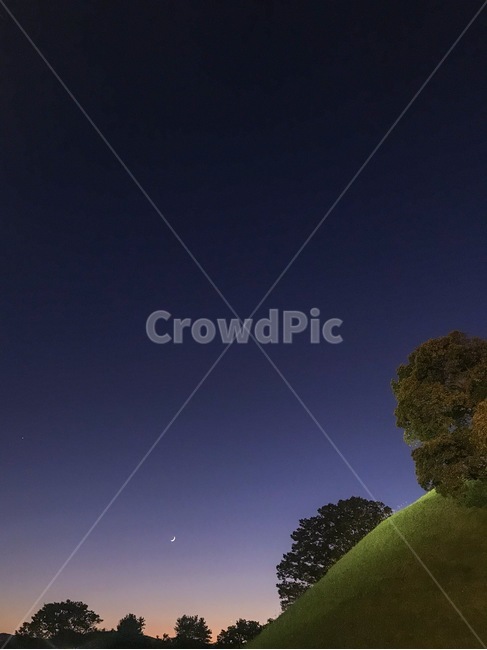 경주,봉황대,달,노을,outdoors,grassland,잔디,언덕,나무,tree,sunset,moon,노을달,nature,들
