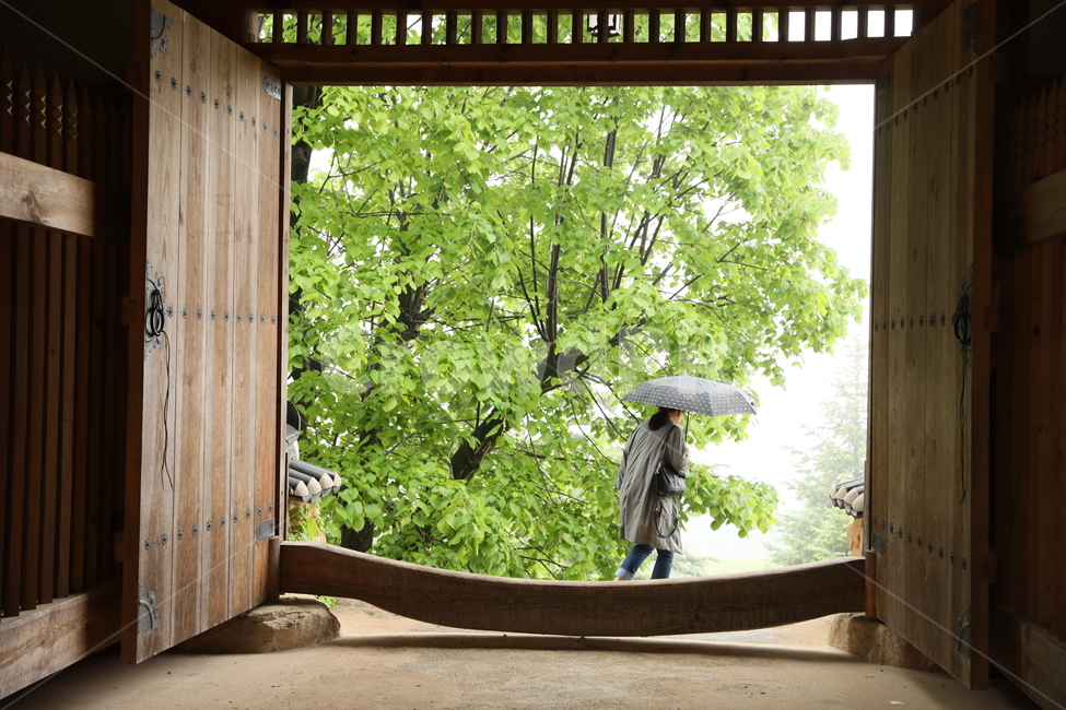 부석사,대문,사찰,녹음,비,우중,입구,나무,초록,한국전통,한국문화,korean traditional,korean culture,사람,인물,인간,human,person,여성,여자,woman,female,lady,비,비오는날,rain,rainy