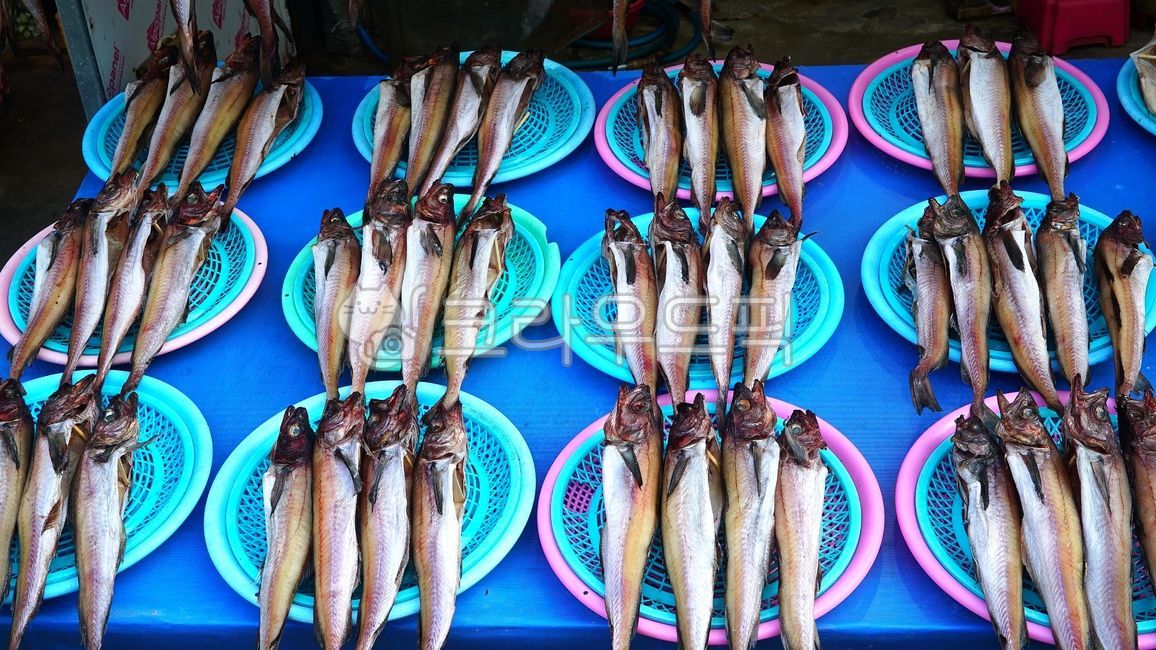 해산물,생선,바다생선,바다물고기,해물,명태,동태,코다리,말린생선,건어,건어물,반건조,건조