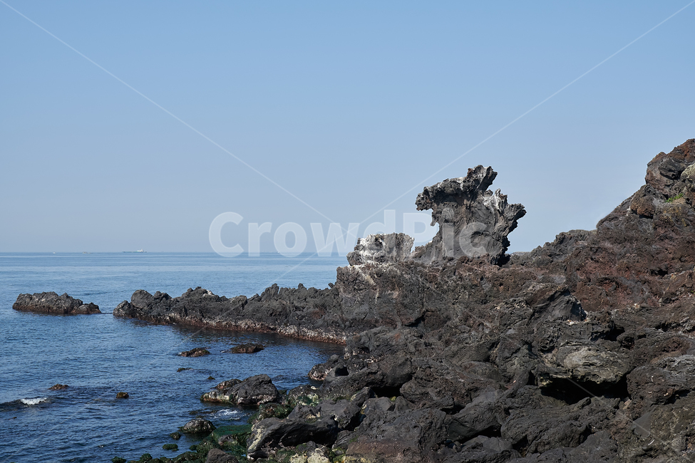 promontory,곶,제주도,용두암,바닷가,제주,섬,바위