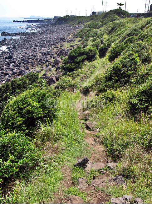 신천목장출구,올레3코스,올레,제주,서귀포,올레길,바다,자연,풍경,nature,landscape,한국자연풍경,한국자연경관,korea nature landscape,제주도,jeju,jeju island,ground,바닥,slope,경사