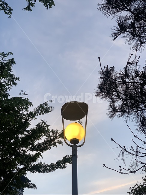 풍경,하늘,야경,가로등,그림자,감성,노을,조명