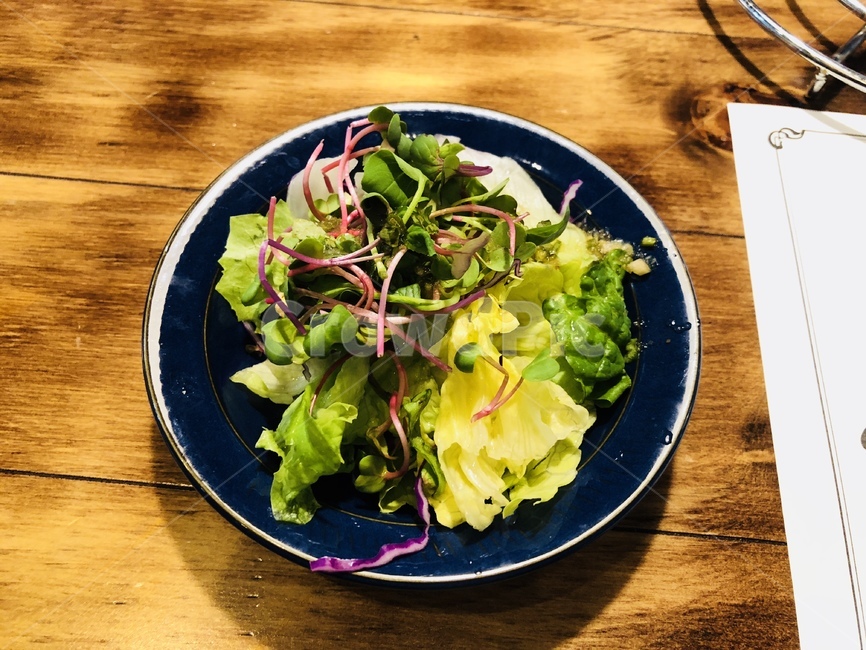 샐러드,플레이팅,음식,전채요리,에피타이저,음식,식재료,요리,food,cook,meal,dishes,food reserves