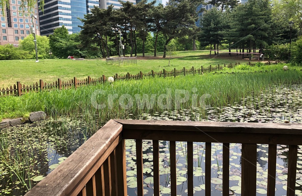 호수,물,공원,울타리,park