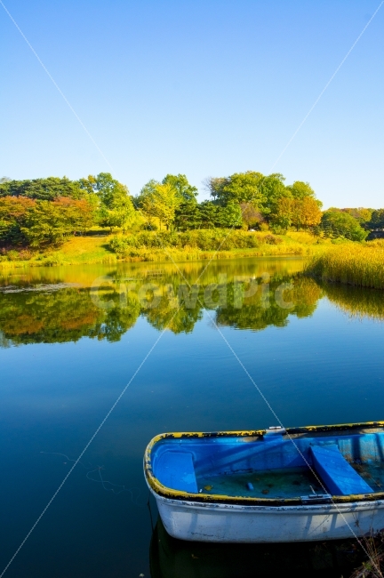 단풍,호수,배,가을,나무,공원,자연,풍경,nature,landscape,가을,계절,fall,autumn,season,water,물,outdoors,옥외
