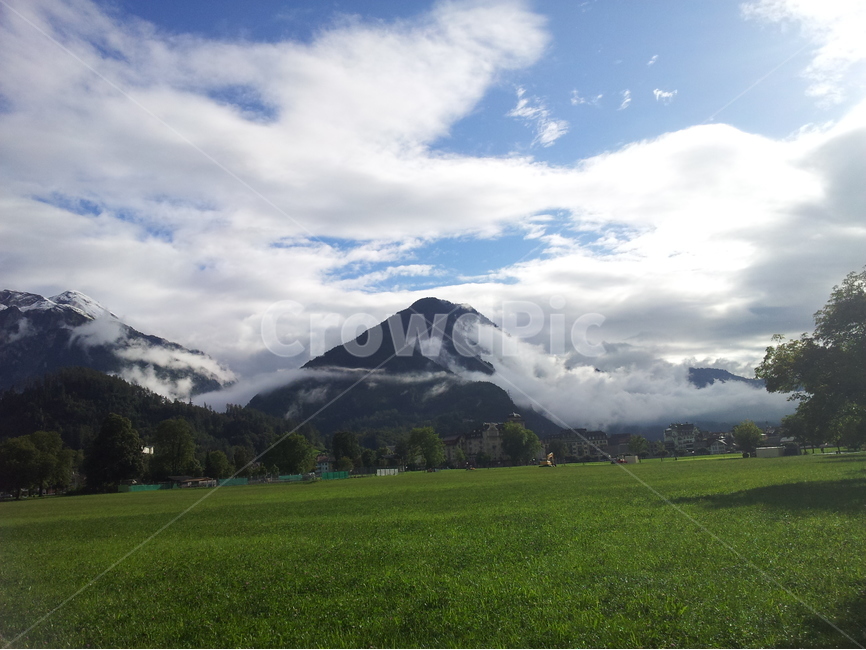 인터라켄,융프라우,스위스,알프스,알프스산맥,자연,풍경,nature,landscape,해외,외국,세계,foreign,oversea,world,세계자연풍경,해외자연풍경,외국자연풍경,world nature landscape,plant,식물,grass,잔디,field,들,outdoors,옥외,grassland,목초지
