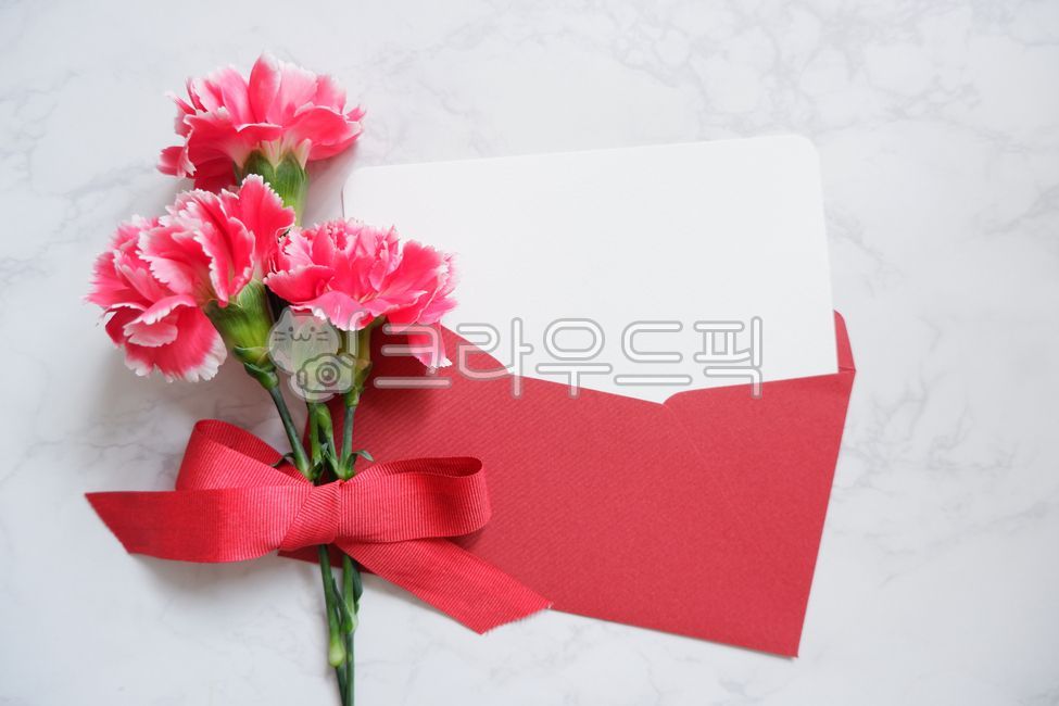 Teachers day,Teachers Day Letter,family month,Family Month Background,pink,blossom,parents day background,Parents Day Letter,ribbon,carnation,Mothers Day,Teachers Day Card,flower,Red,Parents Day Card,envelope,carnation flower,plant,Teachers Day Background