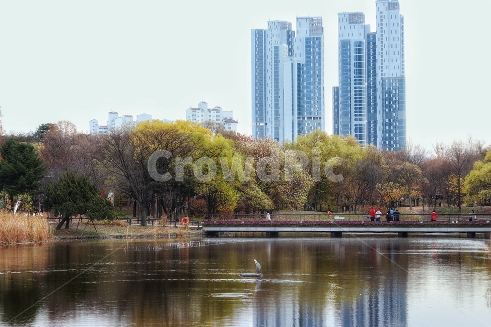 건물,배경,공원,풍경,산책,도시,풍경,city,landscape,water,물